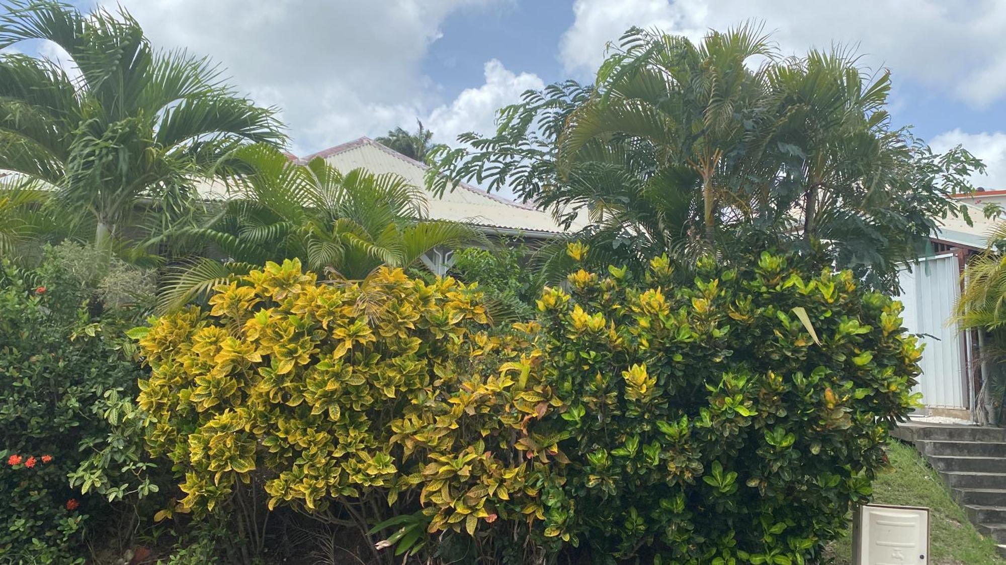 Bungalow Belfond Plage Pointe Marin Sainte-Anne Exterior photo